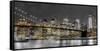 New York Lights-Assaf Frank-Framed Stretched Canvas