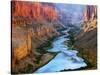 Mile 52 Colorado River-John Gavrilis-Stretched Canvas