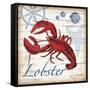 Lobster-Todd Williams-Framed Stretched Canvas