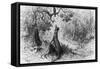 The Crow and the Fox, from "Fables" by Jean de La Fontaine-Gustave Doré-Framed Stretched Canvas