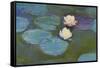 Nympheas, 1897-8-Claude Monet-Framed Stretched Canvas