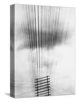 Telephone Wires, Mexico, 1925-Tina Modotti-Stretched Canvas