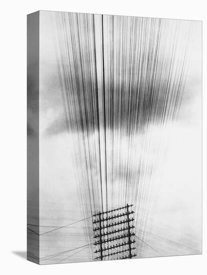 Telephone Wires, Mexico, 1925-Tina Modotti-Stretched Canvas