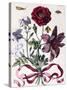 Various European Insects and Flowers-Maria Sibylla Graff Merian-Stretched Canvas