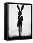 Lepus-Ruben Ireland-Framed Stretched Canvas