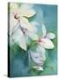 Magnolia Dedudata-Karen Armitage-Stretched Canvas