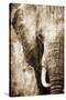 African Animals I - Sepia-Eric Yang-Stretched Canvas