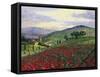 Timeless Tuscany-Scott Westmoreland-Framed Stretched Canvas