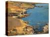 Land of a Thousand Caves-William Wendt-Stretched Canvas