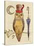 Steampunk Owl I-Elyse DeNeige-Stretched Canvas