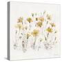 Wildflowers III Yellow-Lisa Audit-Stretched Canvas