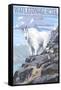 Waterton-Glacier International Peace Park - Mountain Goat and Baby-Lantern Press-Framed Stretched Canvas