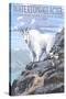 Waterton-Glacier International Peace Park - Mountain Goat and Baby-Lantern Press-Stretched Canvas