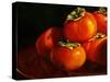 Five Persimmons-Terri Hill-Stretched Canvas