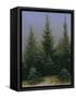 Spruce Forest in Snow (Dresdner Heide I.), ca. 1828-Caspar David Friedrich-Framed Stretched Canvas