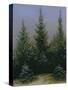 Spruce Forest in Snow (Dresdner Heide I.), ca. 1828-Caspar David Friedrich-Stretched Canvas