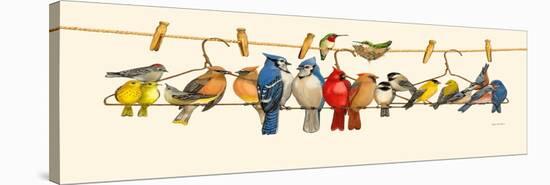 Bird Menagerie II-Wendy Russell-Stretched Canvas