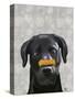 Black Labrador with Bone on Nose-Fab Funky-Stretched Canvas