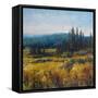 Pacific Northwest I-Tim O'toole-Framed Stretched Canvas