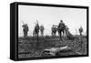 First day of Battle of the Somme July 1st 1916-null-Framed Stretched Canvas