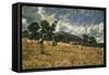 Threatening Weather-James Charles-Framed Stretched Canvas