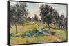 Apple Trees in Normandy-Jean-Baptiste-Armand Guillaumin-Framed Stretched Canvas