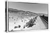 Road view - Death Valley National Park - California - USA - North America-Philippe Hugonnard-Stretched Canvas