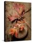 Quiet Nature Fall Collection 4-Julie Greenwood-Stretched Canvas