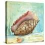 Marine Life Motif V-Gregory Gorham-Stretched Canvas