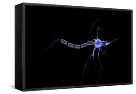 Conceptual Image of a Neuron-null-Framed Stretched Canvas