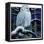"Snowy Owl in Forest at Night,"January 12, 1924-Paul Bransom-Framed Stretched Canvas
