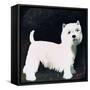 Westie, 1991-Maggie Rowe-Framed Stretched Canvas