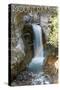 Mount Rainier National Park - Christine Falls-Lantern Press-Stretched Canvas