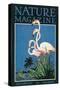 Nature Magazine - View of a Pair of Flamingos, c.1931-Lantern Press-Stretched Canvas