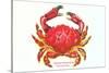 Hawaiian Crab-null-Stretched Canvas