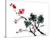 Chinese Painting Of Flowers, Plum Blossom, On White Background-elwynn-Stretched Canvas