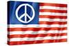 United States Peace Flag-daboost-Stretched Canvas