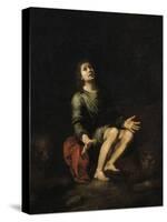 Daniel dans la fosse aux lions-Bartolome Esteban Murillo-Stretched Canvas