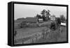 Negro Sharecropper Farm-Dorothea Lange-Framed Stretched Canvas