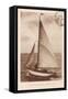 Vintage Sailing II Sepia-Wild Apple Portfolio-Framed Stretched Canvas