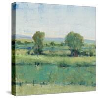 Spring Meadow I-Tim OToole-Stretched Canvas