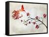 Hummingbird of Paradise Sunset-Tina Lavoie-Framed Stretched Canvas