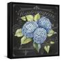 JP3887-Hydrangeas-Jean Plout-Framed Stretched Canvas