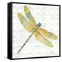 JP3438-Dragonfly Bliss-Jean Plout-Framed Stretched Canvas