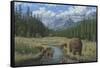 Checking Things Out - Grizzlies-Robert Wavra-Framed Stretched Canvas