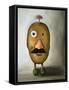 Misfit Potato 2-Leah Saulnier-Framed Stretched Canvas