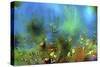 Magical Grass-RUNA-Stretched Canvas