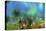 Magical Grass-RUNA-Stretched Canvas