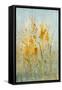 Spray of Wildflowers I-Tim O'toole-Framed Stretched Canvas