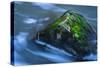 Large Moss Covered Rock Slow Swirling Water-Anthony Paladino-Stretched Canvas